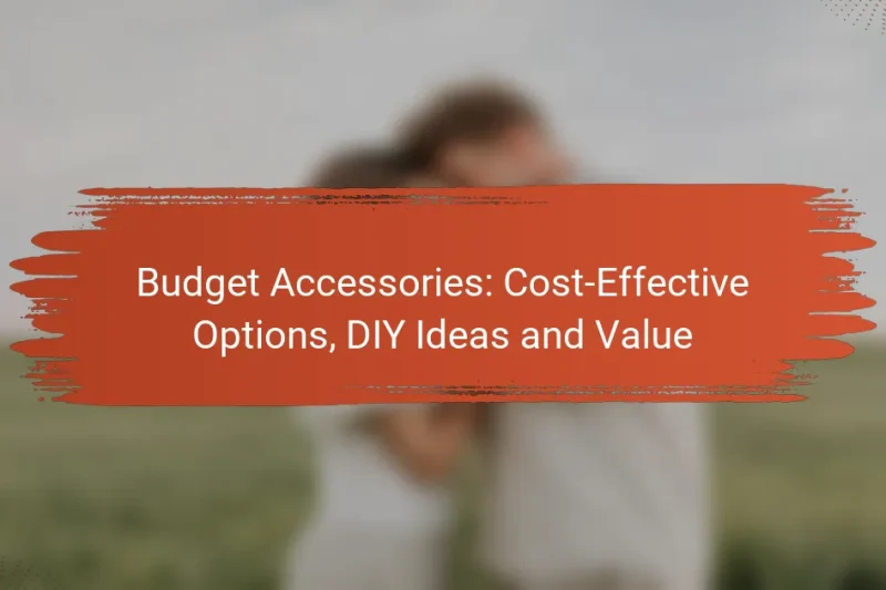 Budget Accessories: Opzioni Economiche, Idee Fai-da-te e Valore