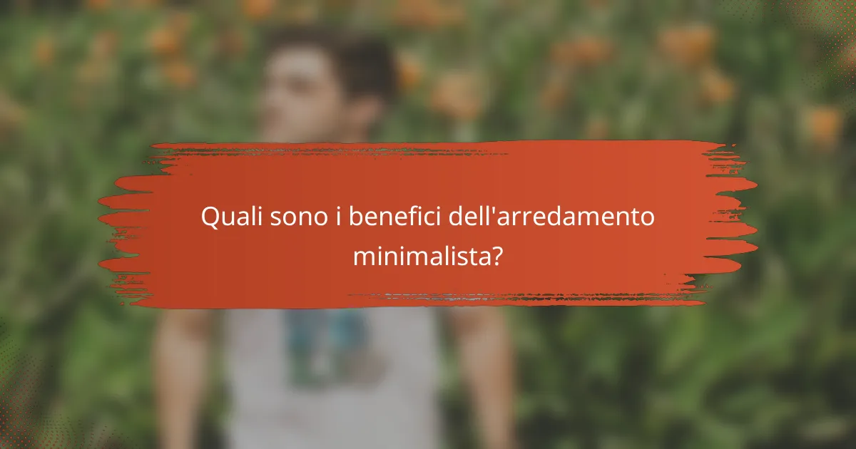 Quali sono i benefici dell'arredamento minimalista?